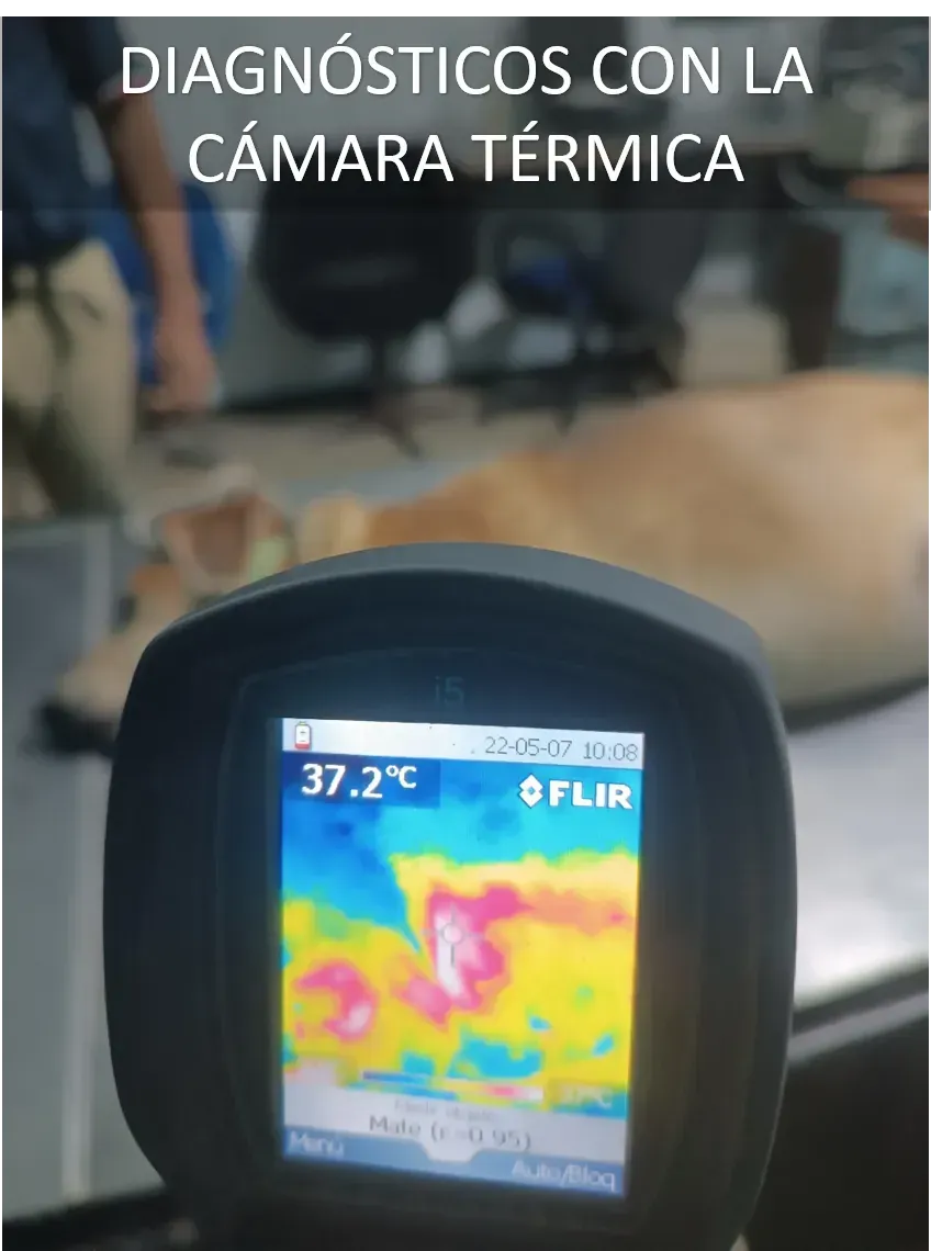 Endoscopios / Camara térmica